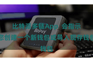 比特派多链App 会指示您创建一个新钱包或导入现存钱包