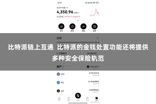 比特派链上互通 比特派的金钱处置功能还将提供多种安全保险轨范