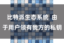 比特派生态系统 由于用户领有我方的私钥
