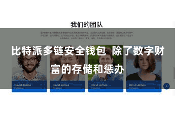 比特派多链安全钱包  除了数字财富的存储和惩办