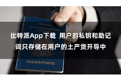 比特派App下载  用户的私钥和助记词只存储在用户的土产货开导中