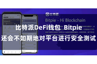 比特派DeFi钱包 Bitpie还会不如期地对平台进行安全测试