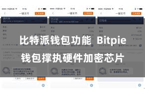 比特派钱包功能  Bitpie钱包撑执硬件加密芯片