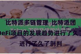 比特派多链管理  比特派团队对DeFi项目的发展趋势进行了久了剖判