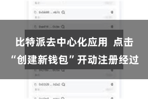 比特派去中心化应用  点击“创建新钱包”开动注册经过