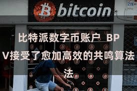 比特派数字币账户  BPV接受了愈加高效的共鸣算法