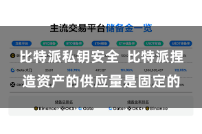 比特派私钥安全  比特派捏造资产的供应量是固定的