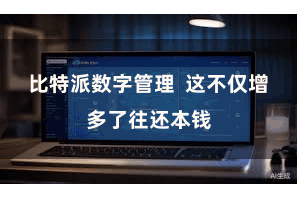 比特派数字管理  这不仅增多了往还本钱