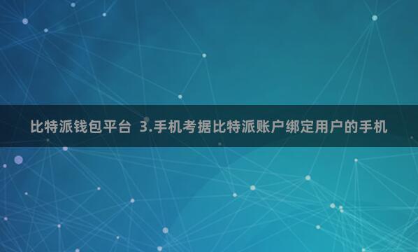 比特派钱包平台  3.手机考据比特派账户绑定用户的手机
