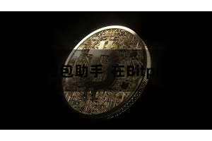 比特派钱包助手  在Bitpie钱包中