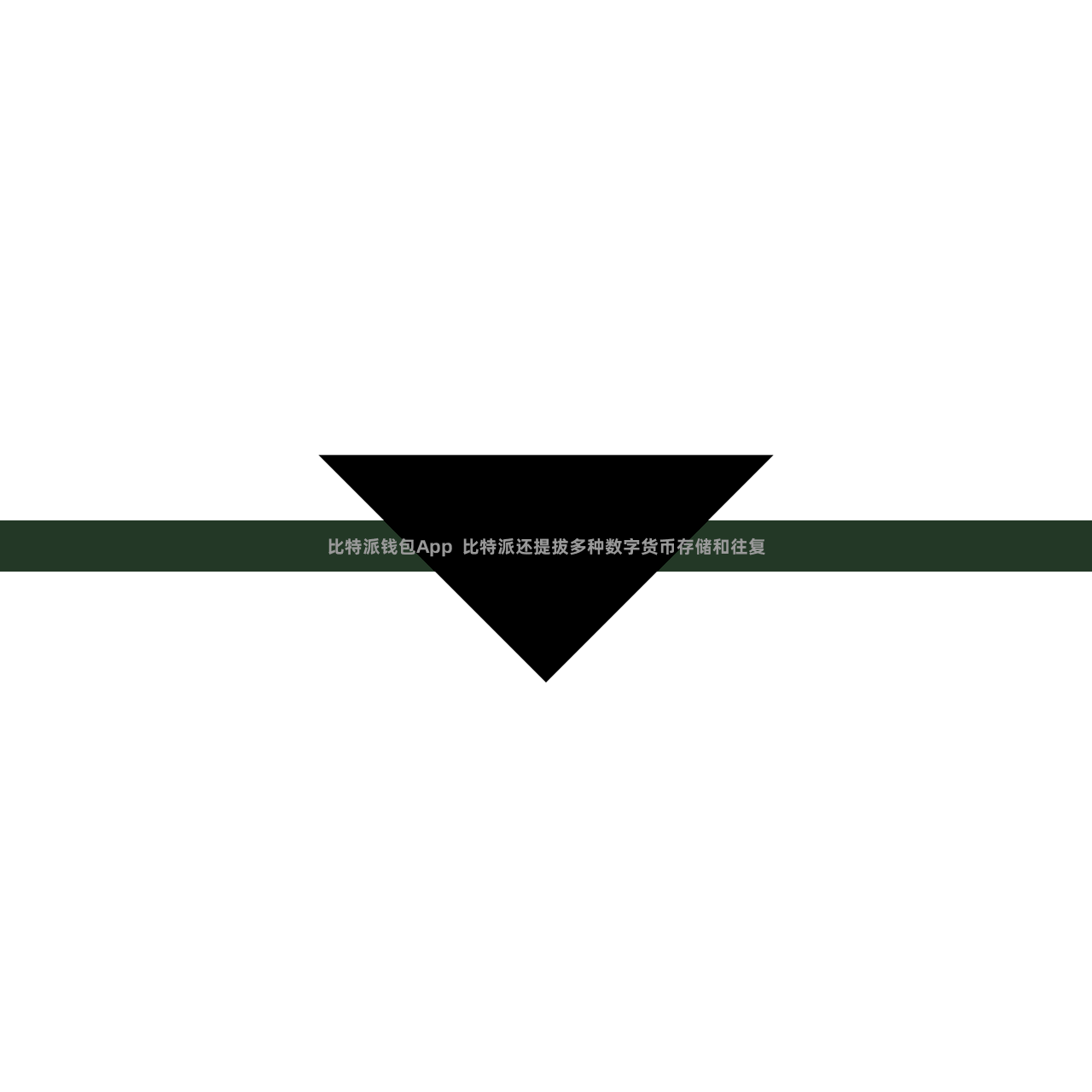 比特派钱包App  比特派还提拔多种数字货币存储和往复