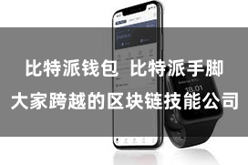 比特派钱包  比特派手脚大家跨越的区块链技能公司