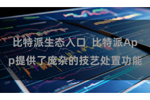 比特派生态入口  比特派App提供了庞杂的技艺处置功能