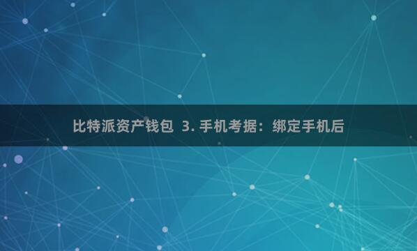 比特派资产钱包  3. 手机考据：绑定手机后