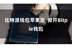 比特派钱包苹果版  掀开Bitpie钱包