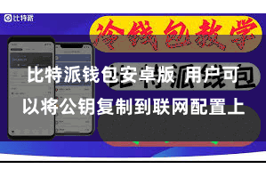 比特派钱包安卓版  用户可以将公钥复制到联网配置上