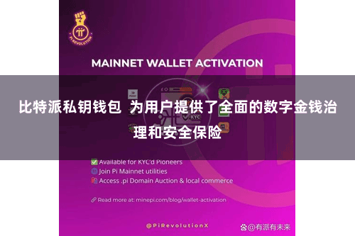 比特派私钥钱包  为用户提供了全面的数字金钱治理和安全保险