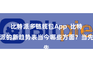 比特派多链钱包App  比特派的新趋势表当今哪些方面？当先